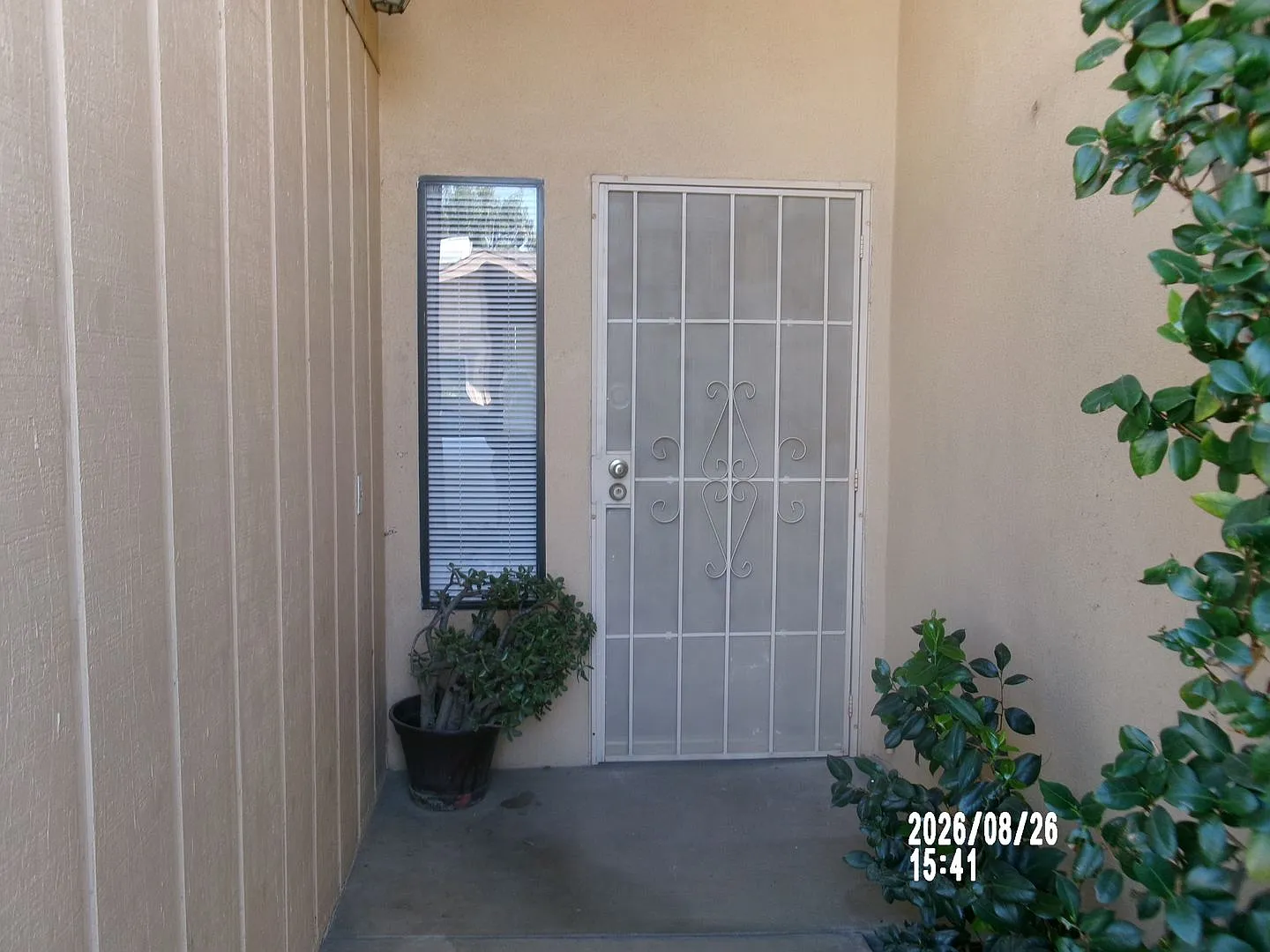 Olive Dr. Condo — Photo 2