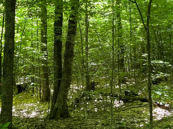 3C Westover Road, Jay, VT 05859