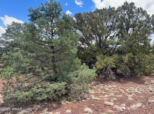 72 County Road 3193, Vernon, AZ 85940