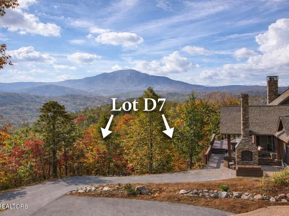 Lightning Bug Way #D-7, Gatlinburg, TN 37738