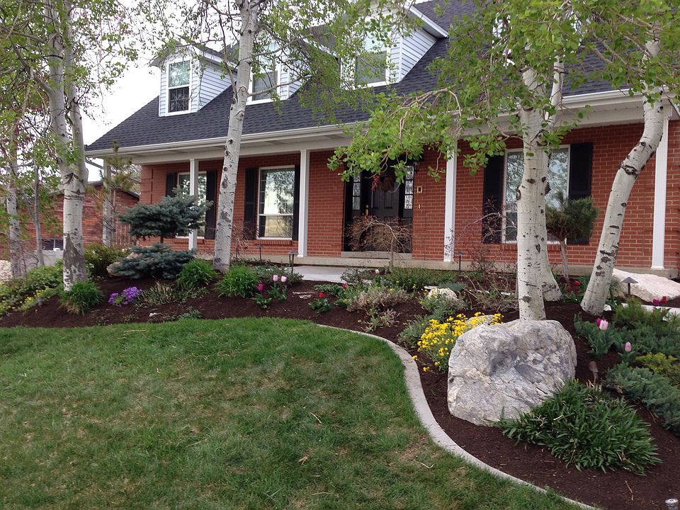 Front yard
