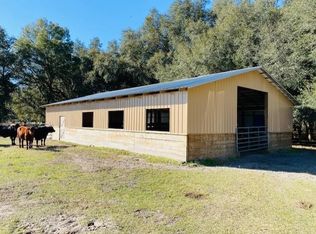 784 SE 522nd St, Cross City, FL 32628