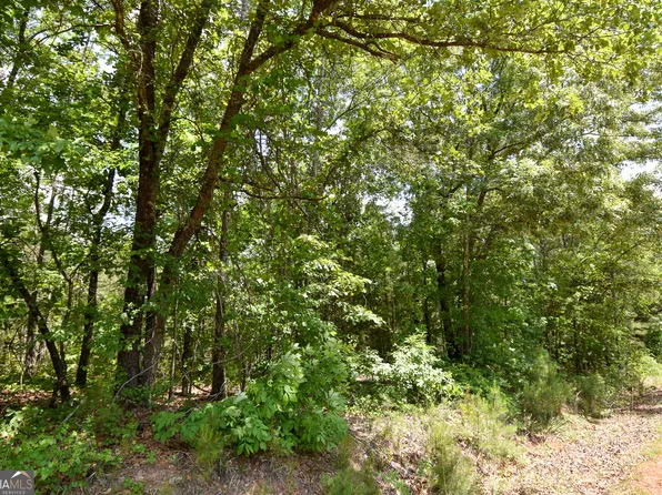 0 Skelton Rd Lot 13, Thomaston, GA 30286