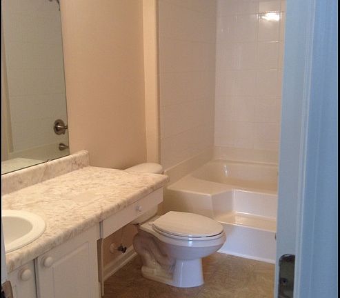 master bathroom - large sunken tub/shower combo