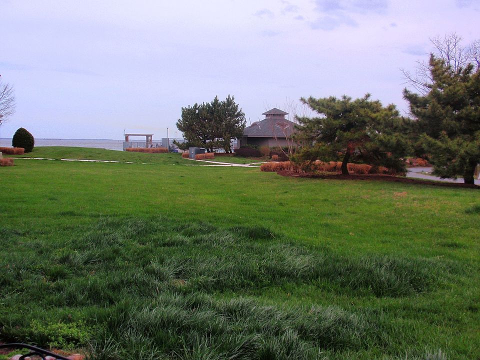 1st image of 2123 Beach Village Ct APT T1