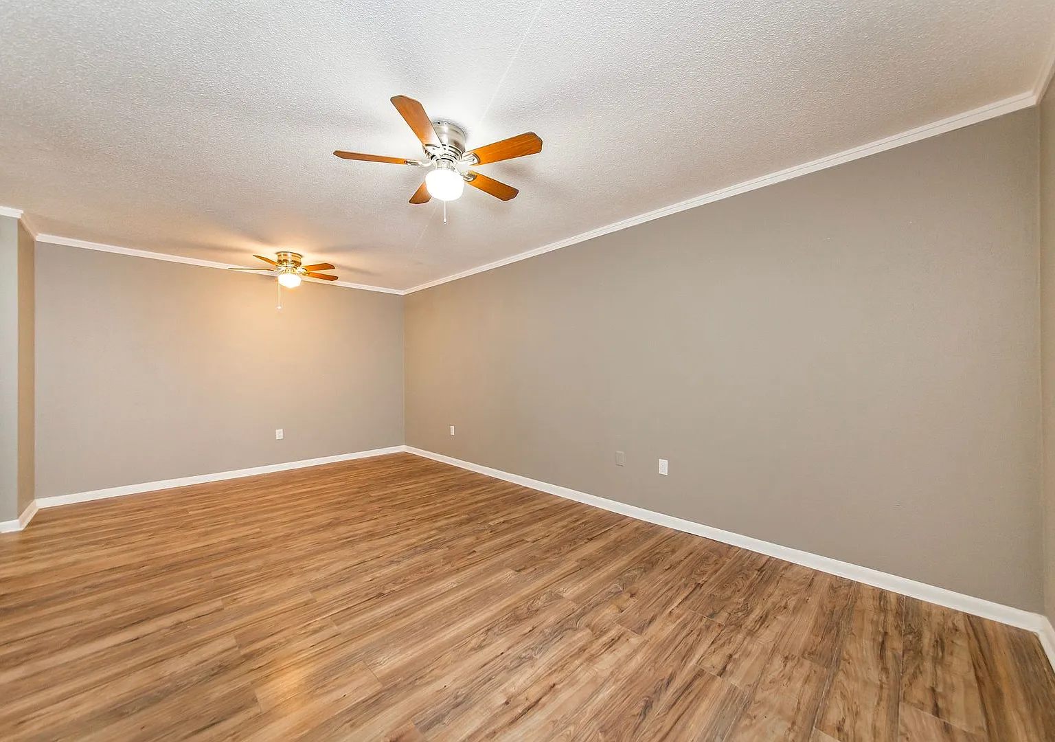 Newly Renovated 2 Bed 1 Bath Apt For Rent - Pet Friendly! — Photo 2