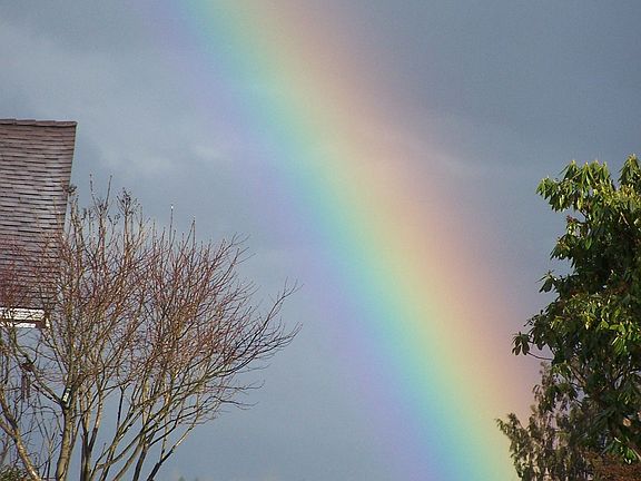 Rainbow