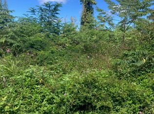 14-3481 Shell Rd LOT 930, Pahoa, HI 96778