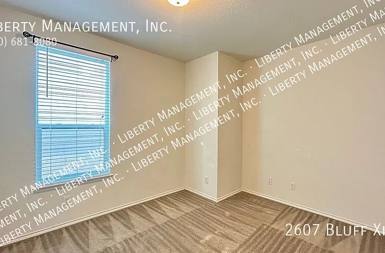 2607 Bluff Xing — Photo 6