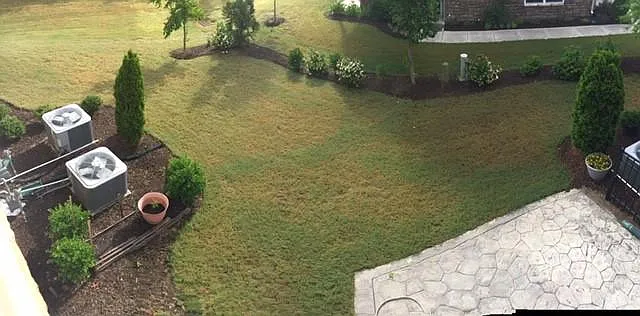 Beautiful Rear Lawn