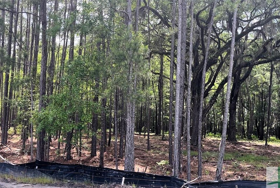 1st image of 161 Wood Haven Lane