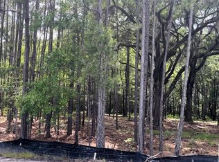 161 Wood Haven Ln, Pooler, GA 31322