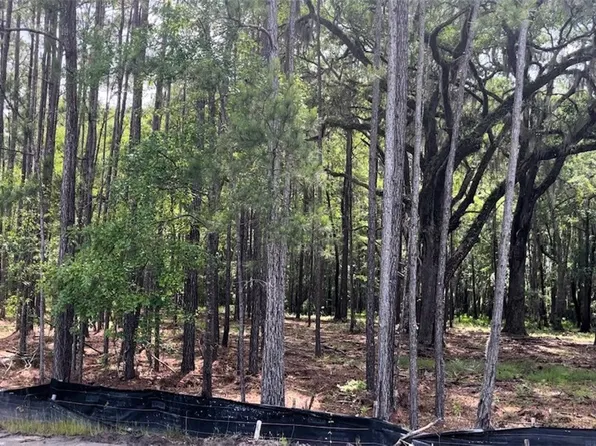 161 Wood Haven Lane, Pooler, GA 31322
