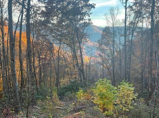 0 Pigeon Creek Rd LOT 4, Bryson City, NC 28713