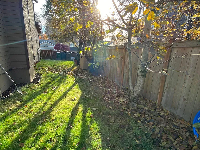 Side yard