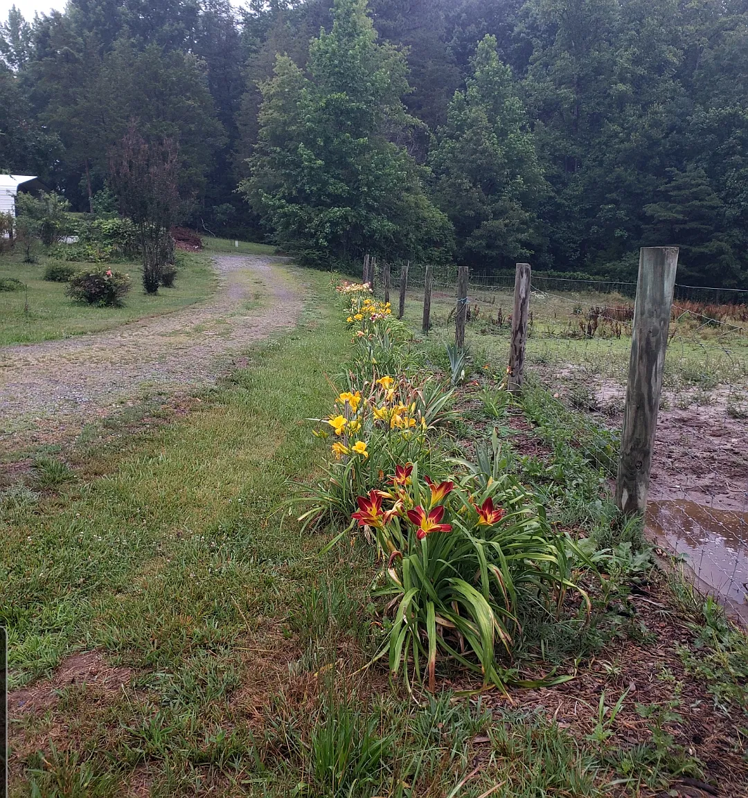 Robert E Lee Dr, Spotsylvania — Photo 1