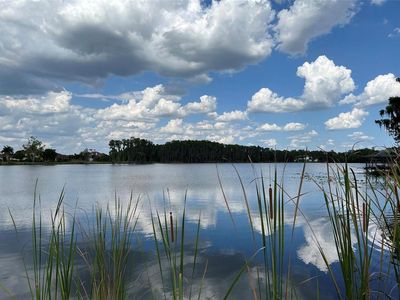 17117 Breeders Cup Dr #59, Odessa, FL, 33556