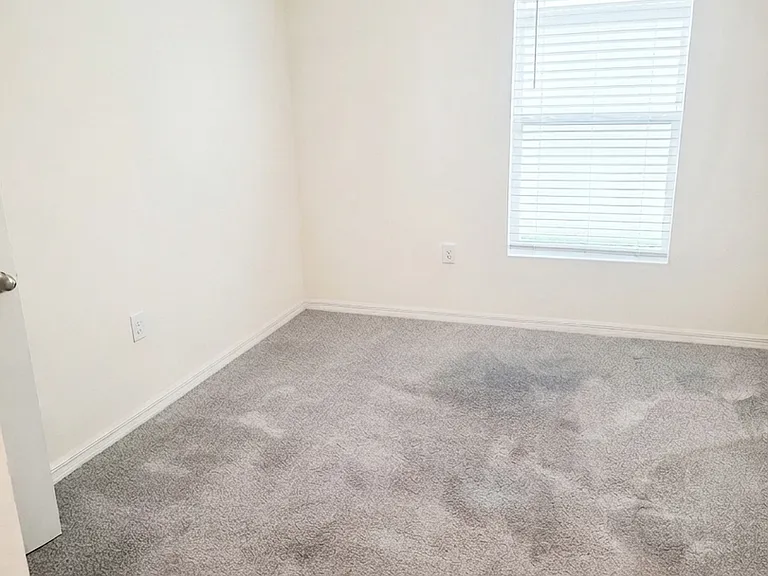 11472 Timber Grove Ln — Photo 19