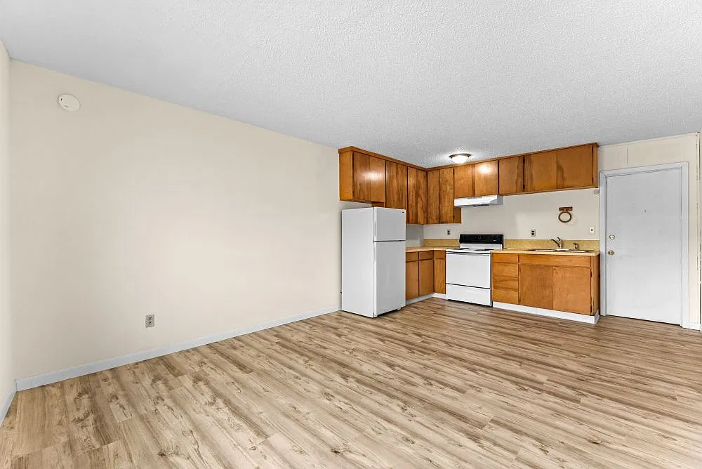 1 bed, $1,100 — Photo 3