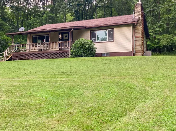 754 Mill Creek Rd, Birch River, WV 26610