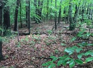 8 Hickory Ln, Asheville, NC 28804
