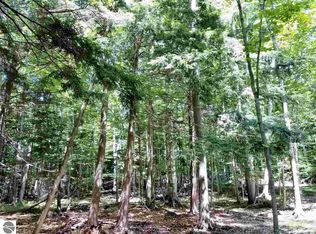 0 Lobb Rd, Frankfort, MI 49635