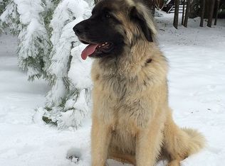 12120 Lockhart Ln, Raleigh, NC 27614