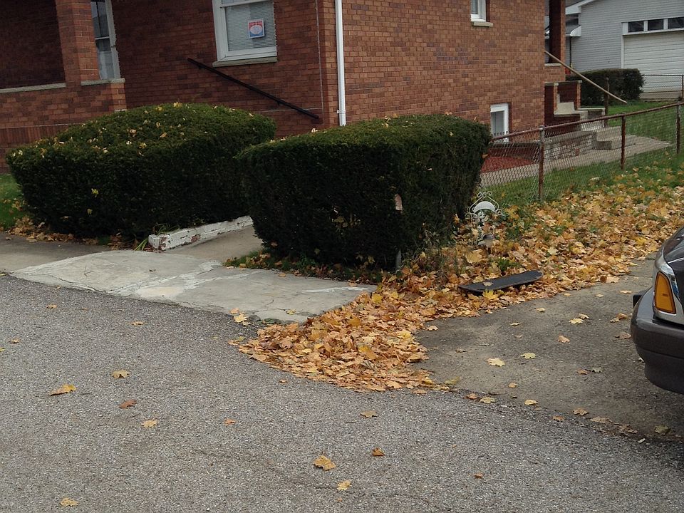 2nd image of 329 Toat Ave