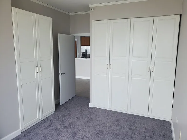 1901 S Calumet Ave #2805 — Photo 8