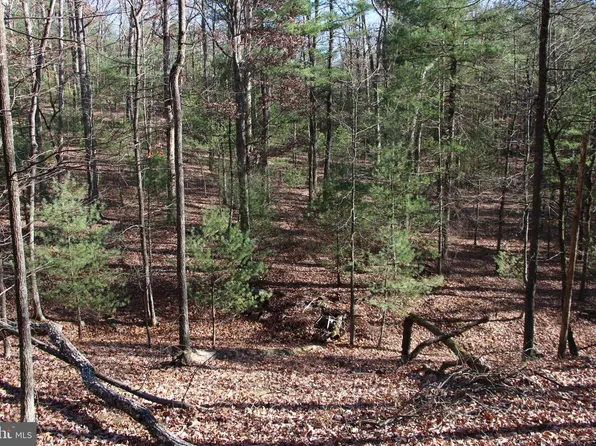 Rolly Rd, Mount Jackson, VA 22842