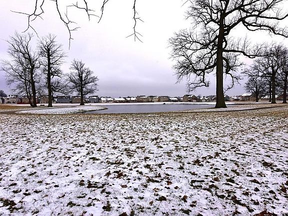 5th image of 11525 War Admiral Ct