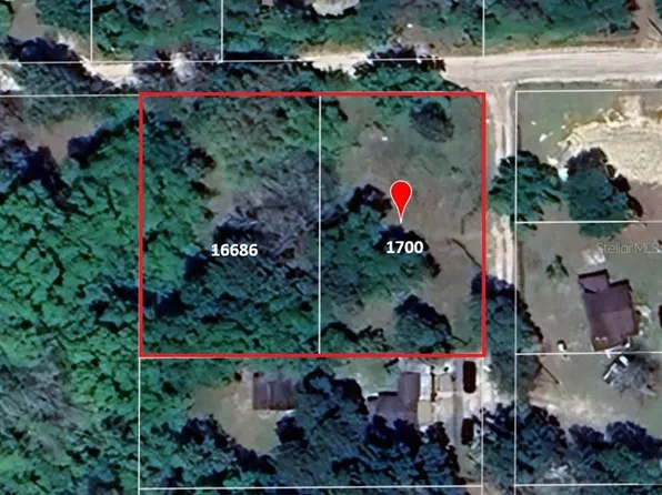 16686 NE 17th Pl #2, Silver Springs, FL 34488