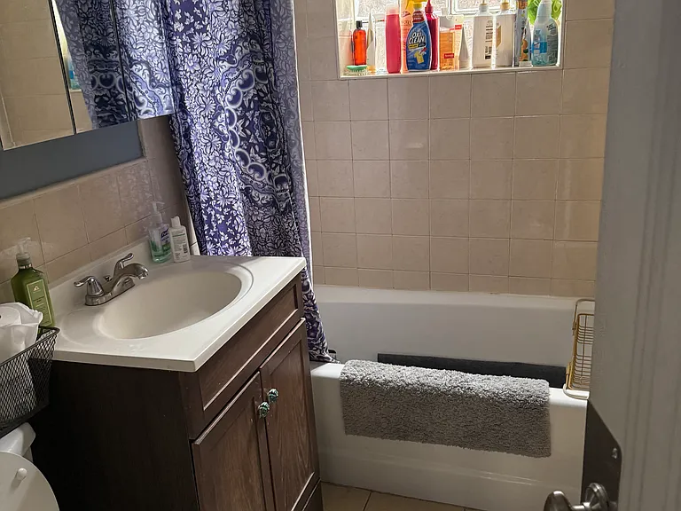 6047 N Albany Ave #2 — Photo 4