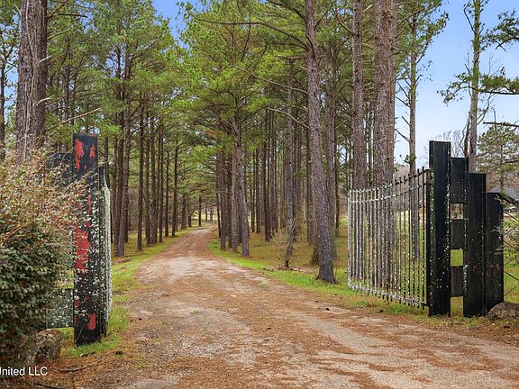 5th image of Robinson Springs Rd