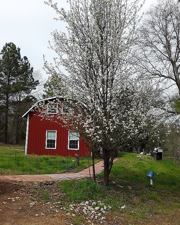 1st image of 155 County Road 1309