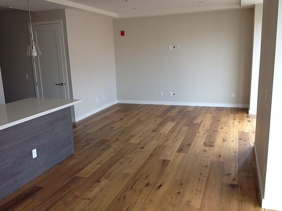 Livingroom and Dining Room
