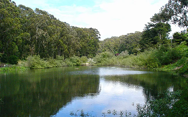 stern grove - across the street