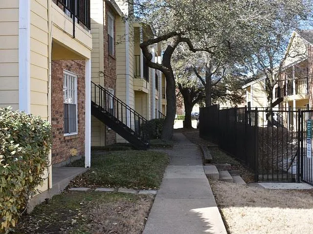 Raintree — Photo 6