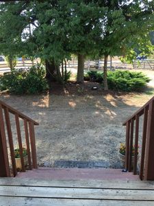 16036 Bald Hill Rd SE, Yelm, WA, 98597