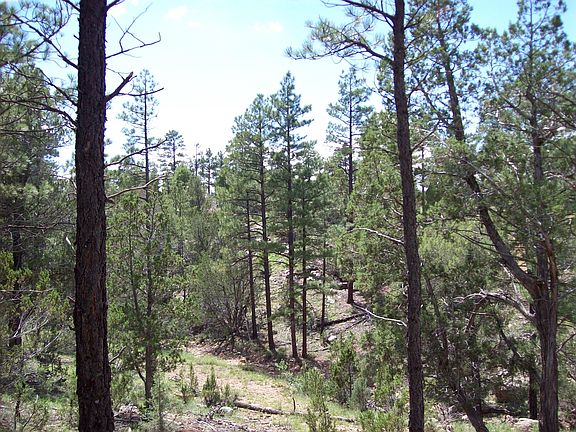 5th image of 971 Old Highway 160