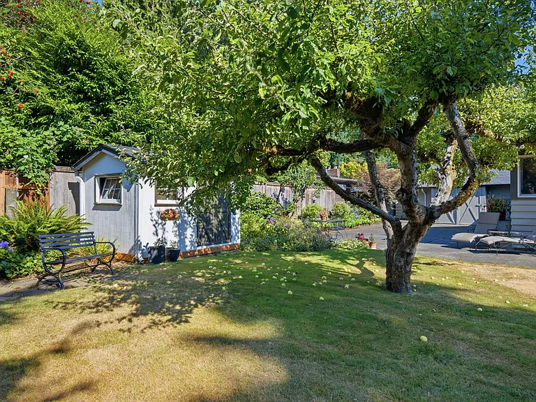 Garden with extra seating