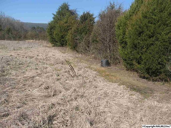 3rd image of Honea Ln