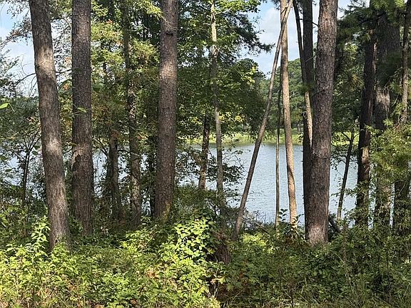 3rd image of 13254 County Road 468