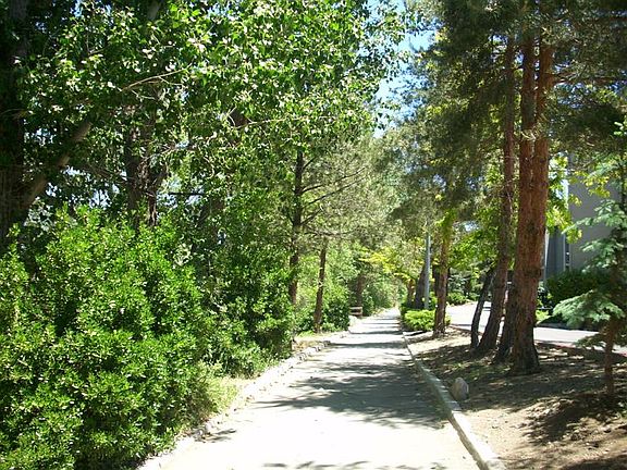 Jogging trail along the Truckee River