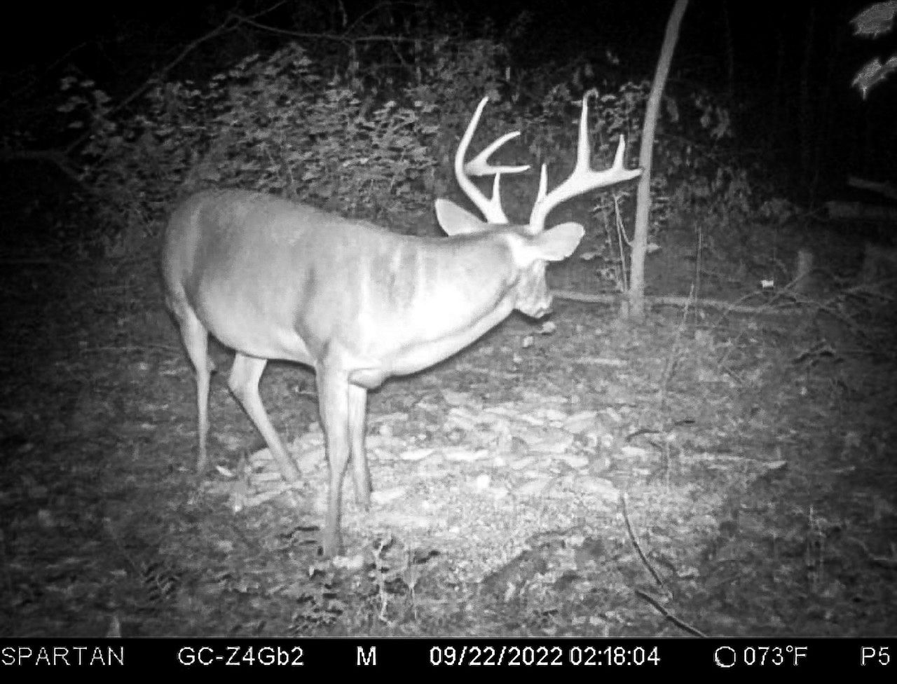 Centerville Rd LOT WP001, Latta, SC 29565 Zillow