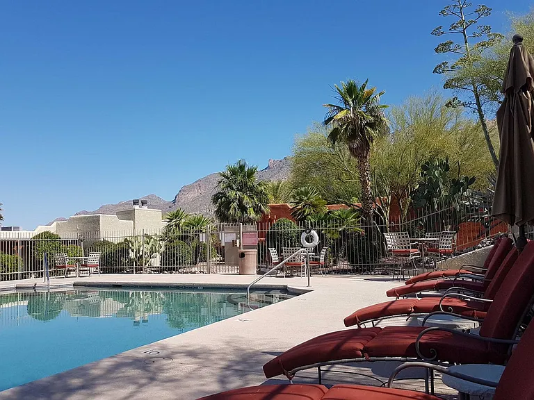 6255 N Camino Pimeria Alta Id1545747p Catalina #ID1545747P — Photo 21