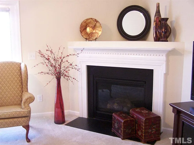 Living room fireplace
