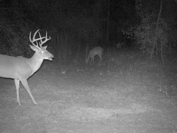 3rd image of 994 SW Oregon Trl