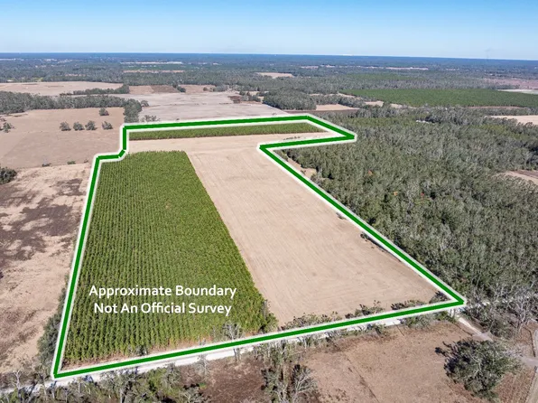 14727 176th St, Mc Alpin, FL 32062