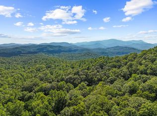 5.5 Acre Forest Service Road 35, Blue Ridge, GA 30513
